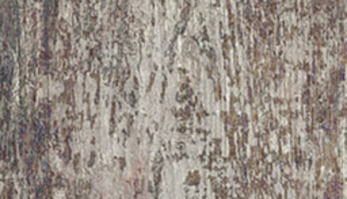 01 MODERN WOOD COLOR 2