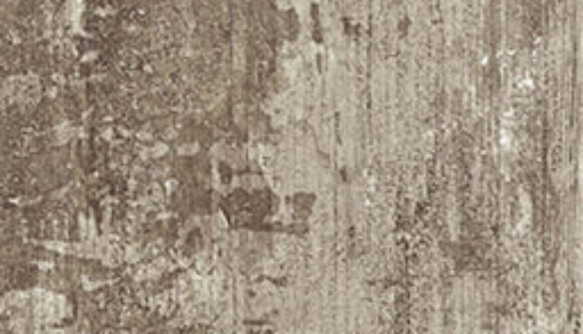 02 MODERN WOOD SMOKE 2