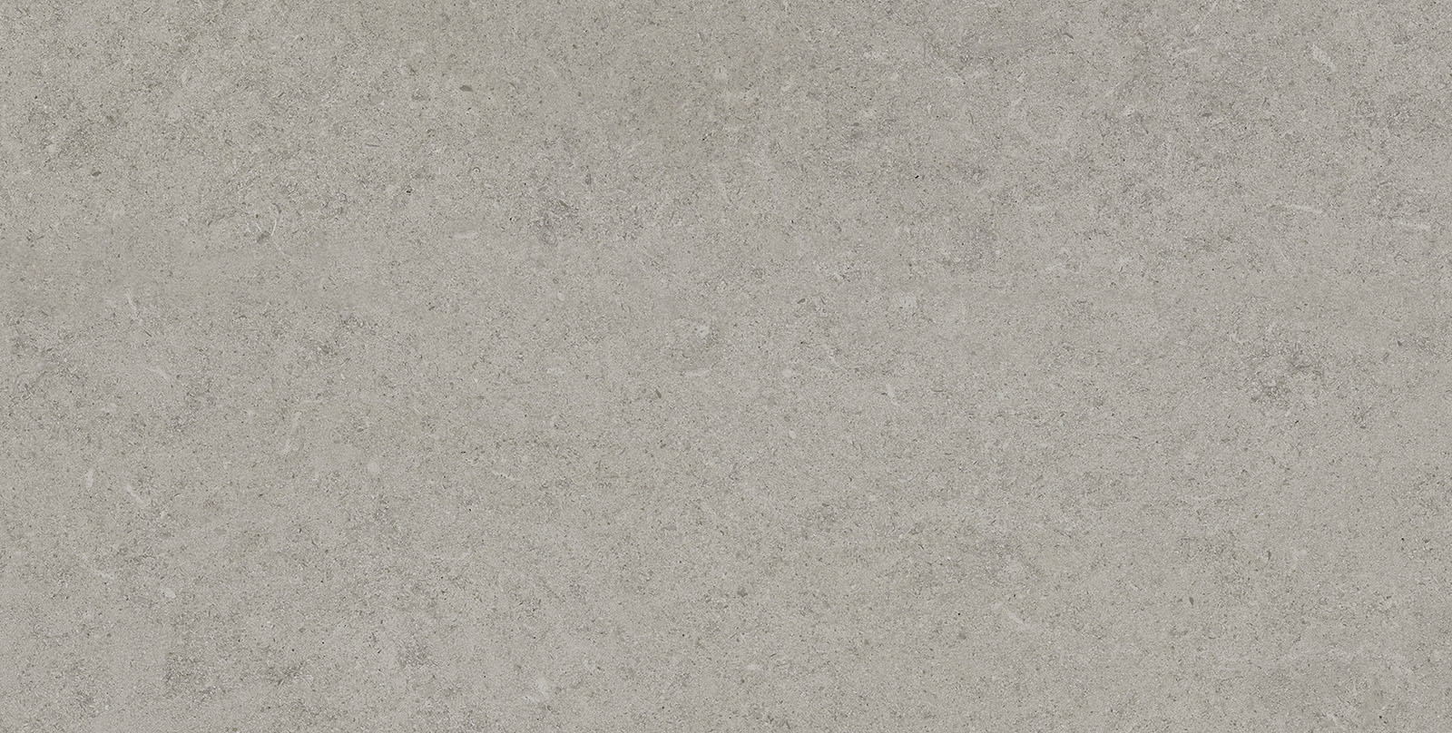 03 EVERTON GREY