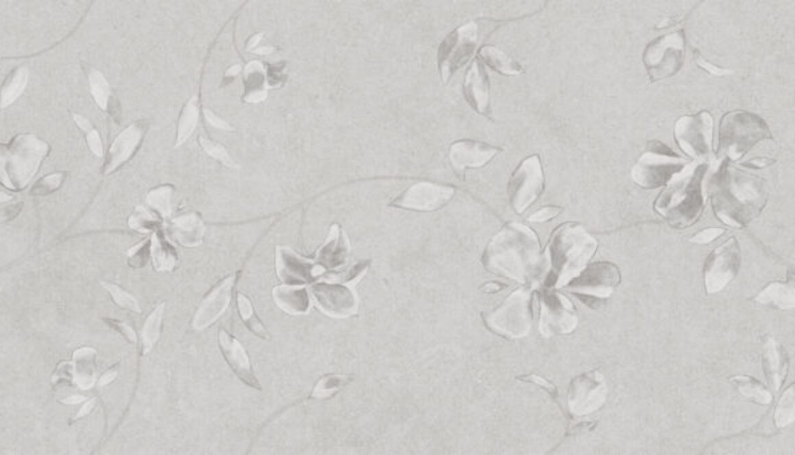 AS_DECORO_GRIGIO_25X75_2