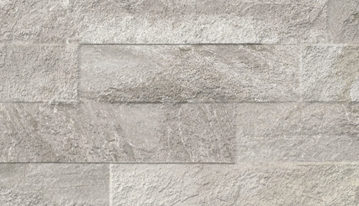 Ardesia_silver_31x62