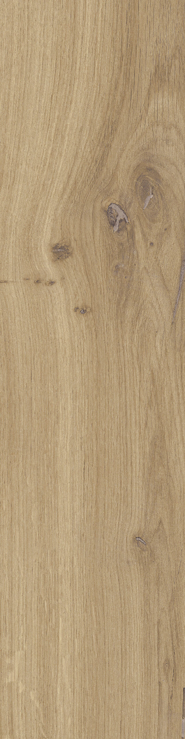Dublin Beige_12