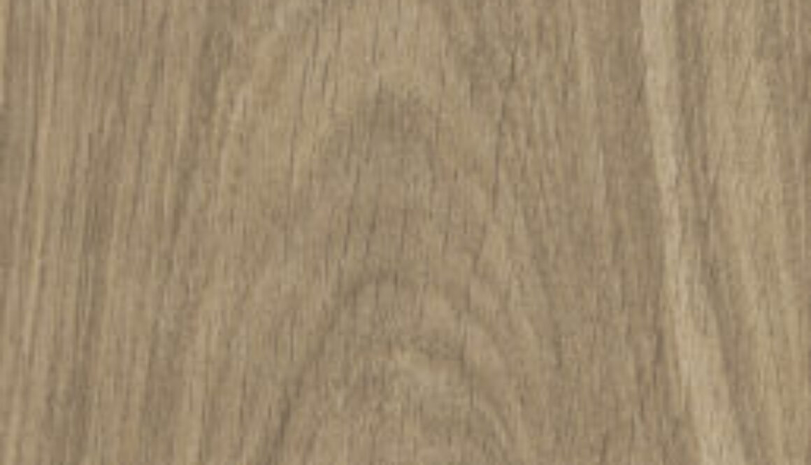Dublin Brown_05