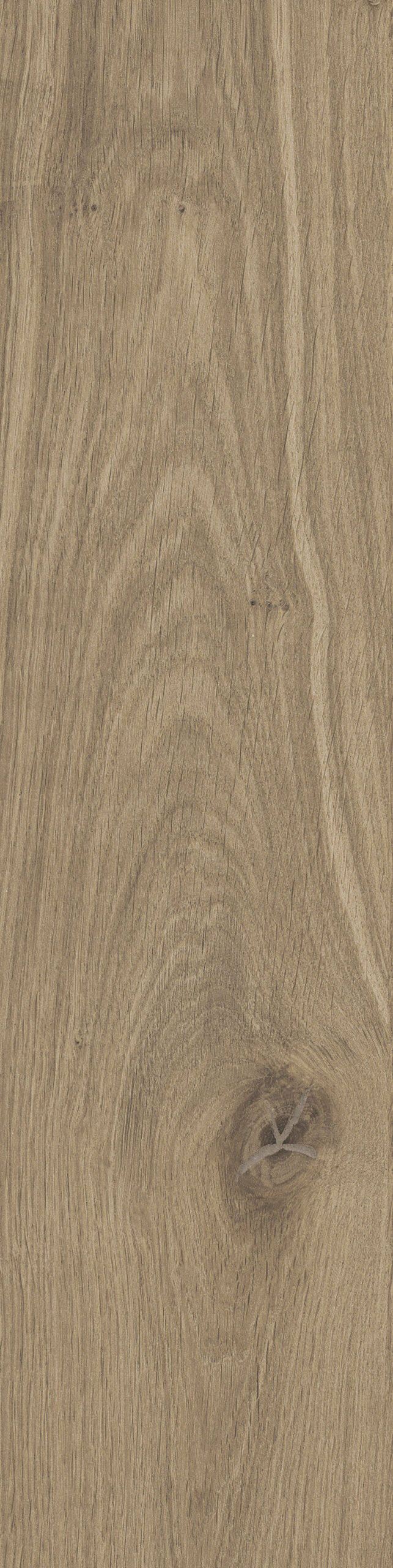 Dublin Brown_05