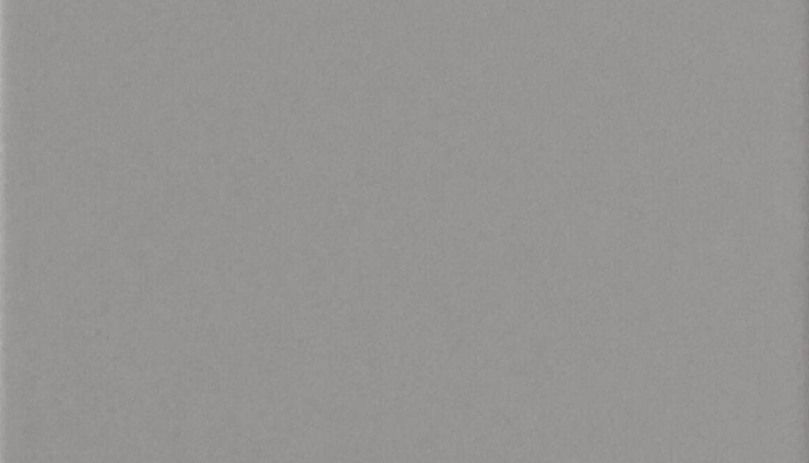 EE1051_grigio_mat_20x20