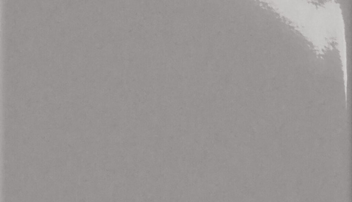 EE1058_grigio_lucido_20x20