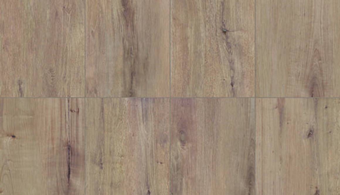 ESSENZE CANNELLA 40.5X81