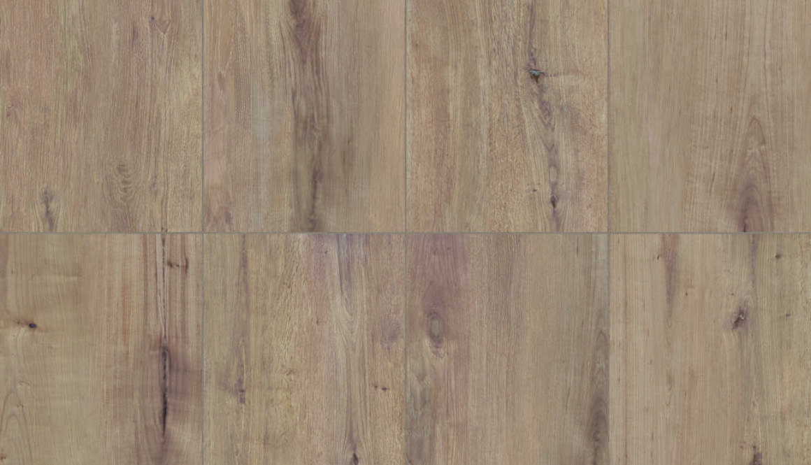 ESSENZE CANNELLA 40.5X81