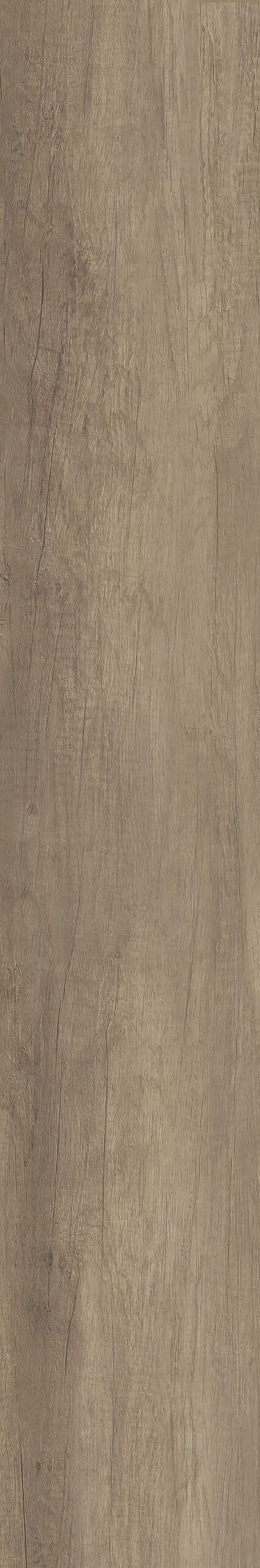 Sierra Beige