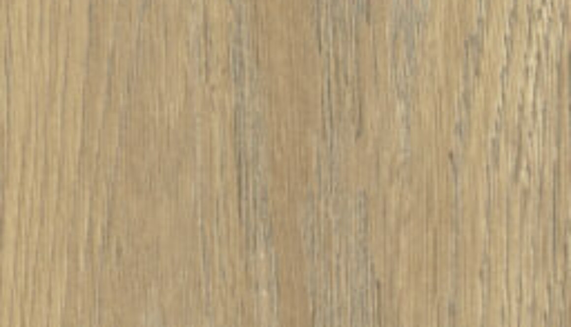 taiga beige 15,5x62 (1)