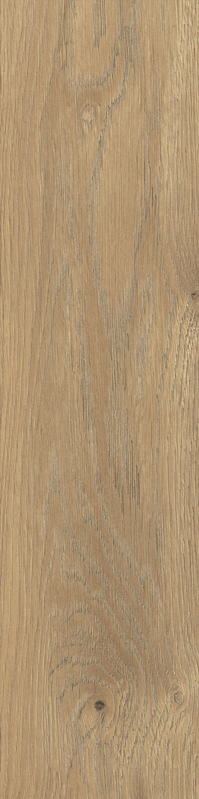 taiga honey 15,5×62 (1)