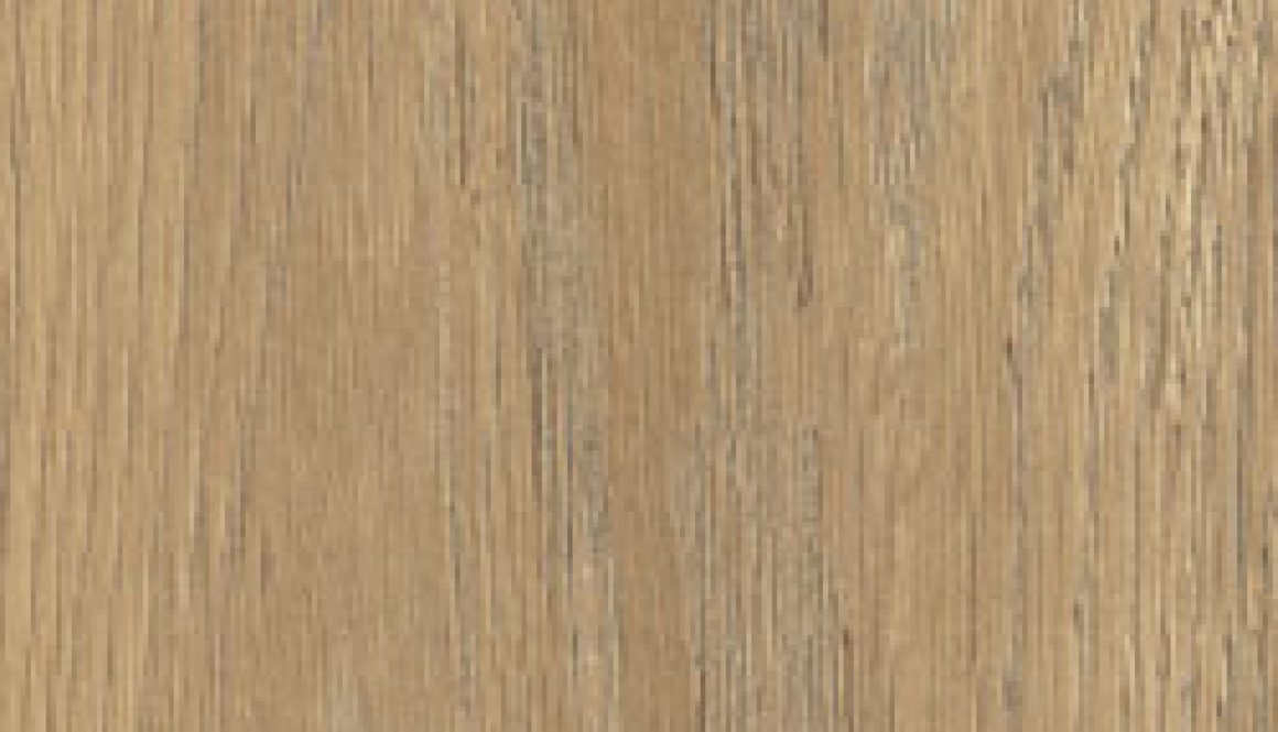 taiga-honey-15,5x62-(1)