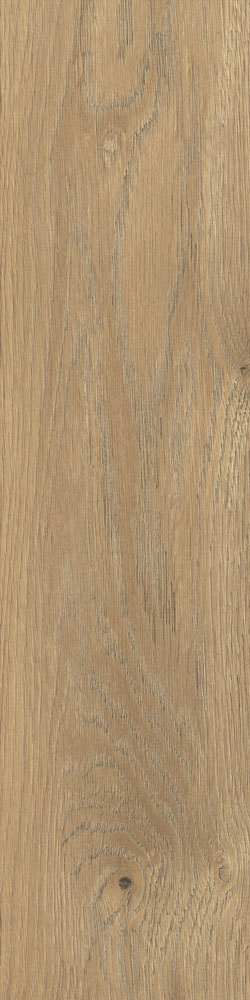 taiga-honey-15,5x62-(1)